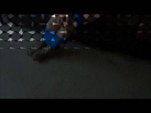 leggybondage.com - CLARA JONES SEXY COUNTRY GIRL BOUND WITH VETRAP LAST PART thumbnail